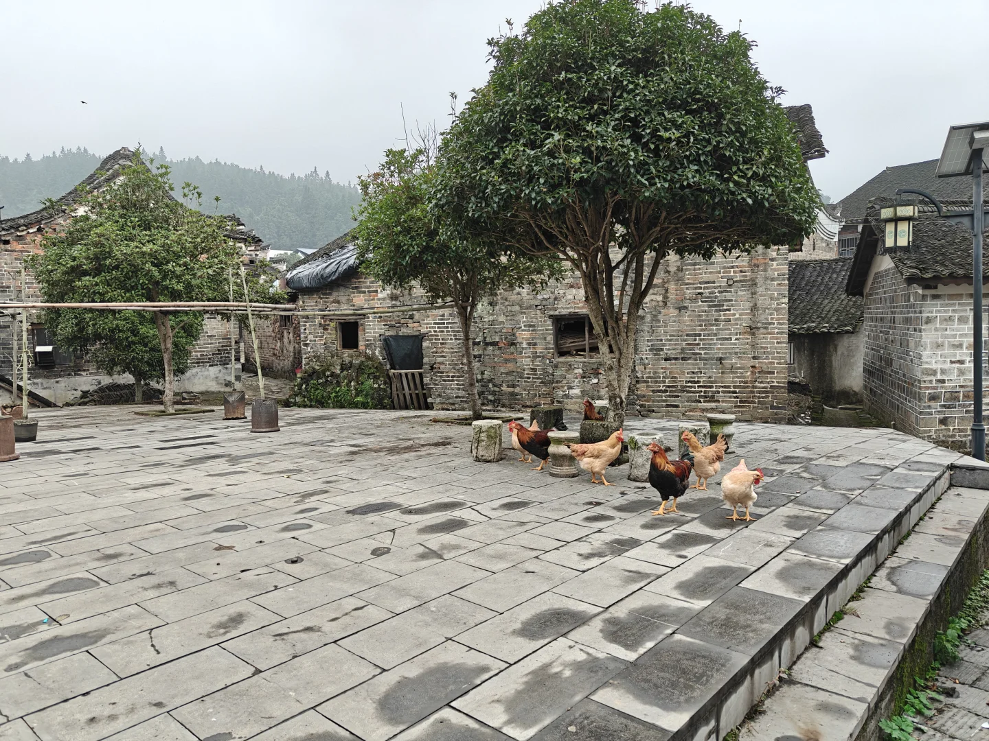 自己动手，加装凯威格加热手把，效果不错