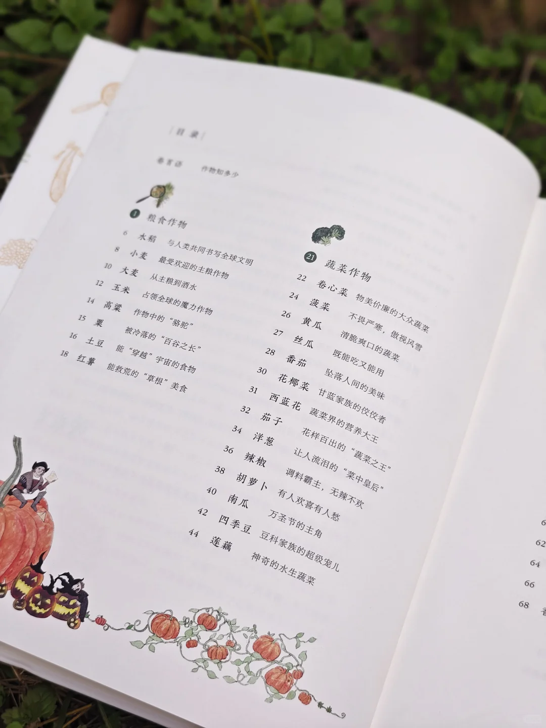 儿童农业科普绘本|纯手绘农作物科普