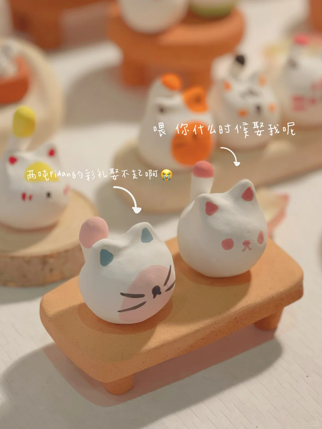 做人好难不如做猫叭!