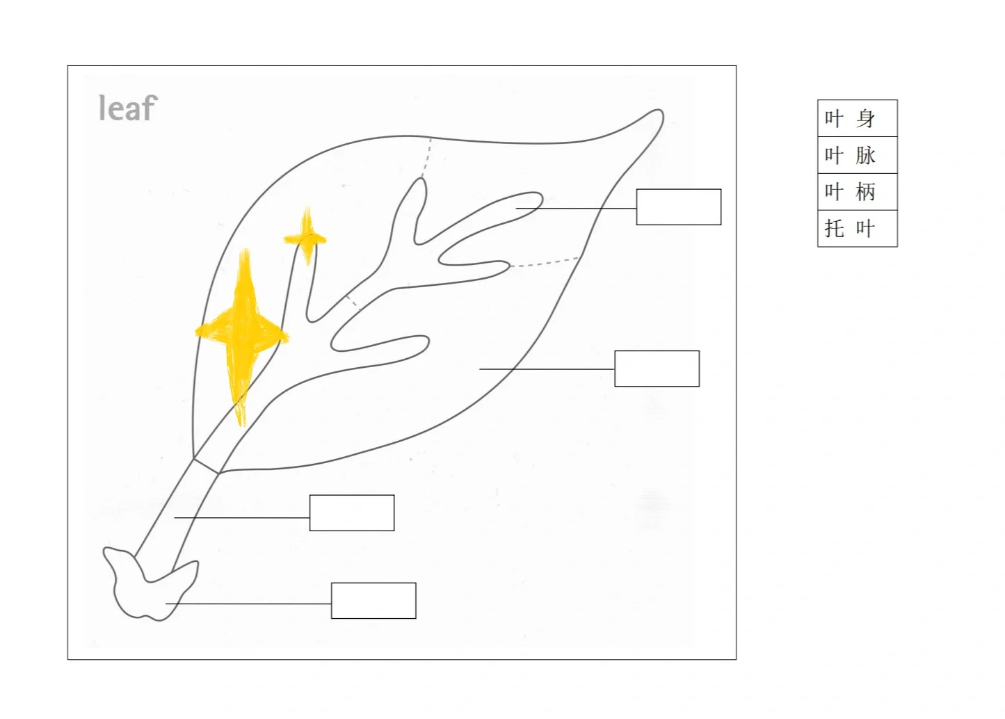 蒙氏｜科学文化领域纸上作业