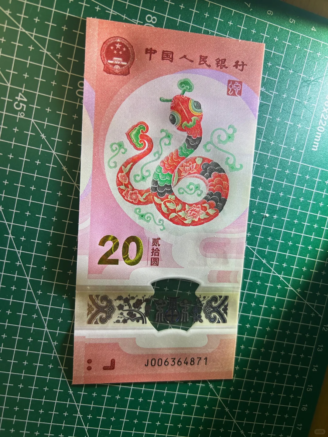 蛇钞修复效果图