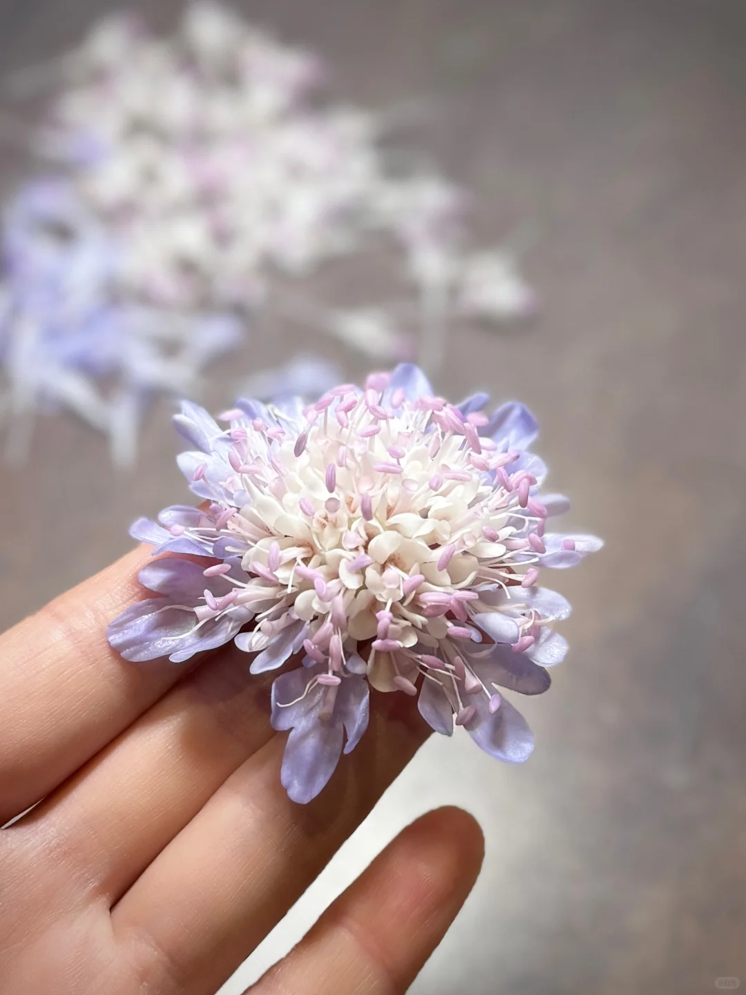 来点有趣的尝试