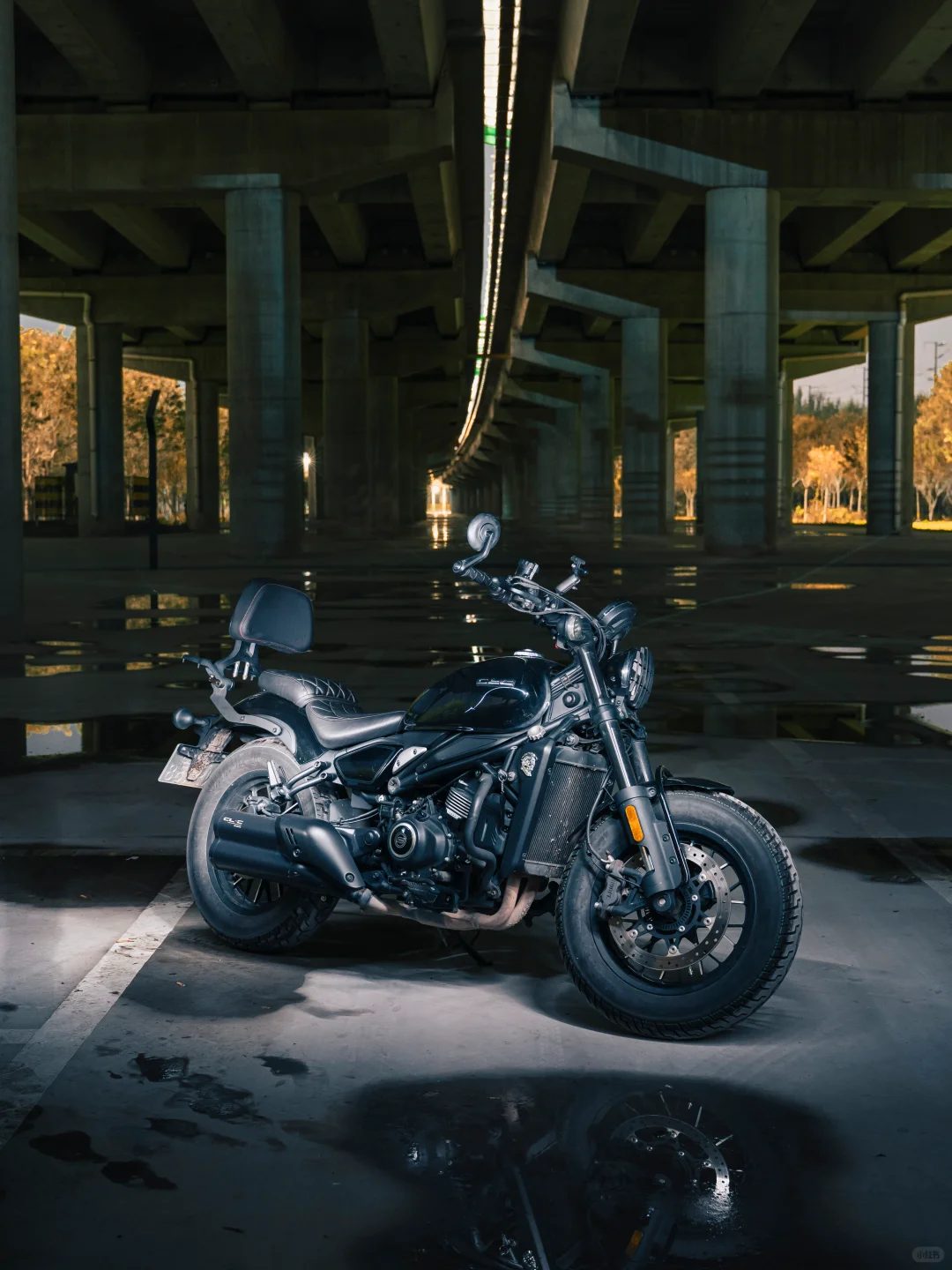 给小黑拍一组写真｜450clc