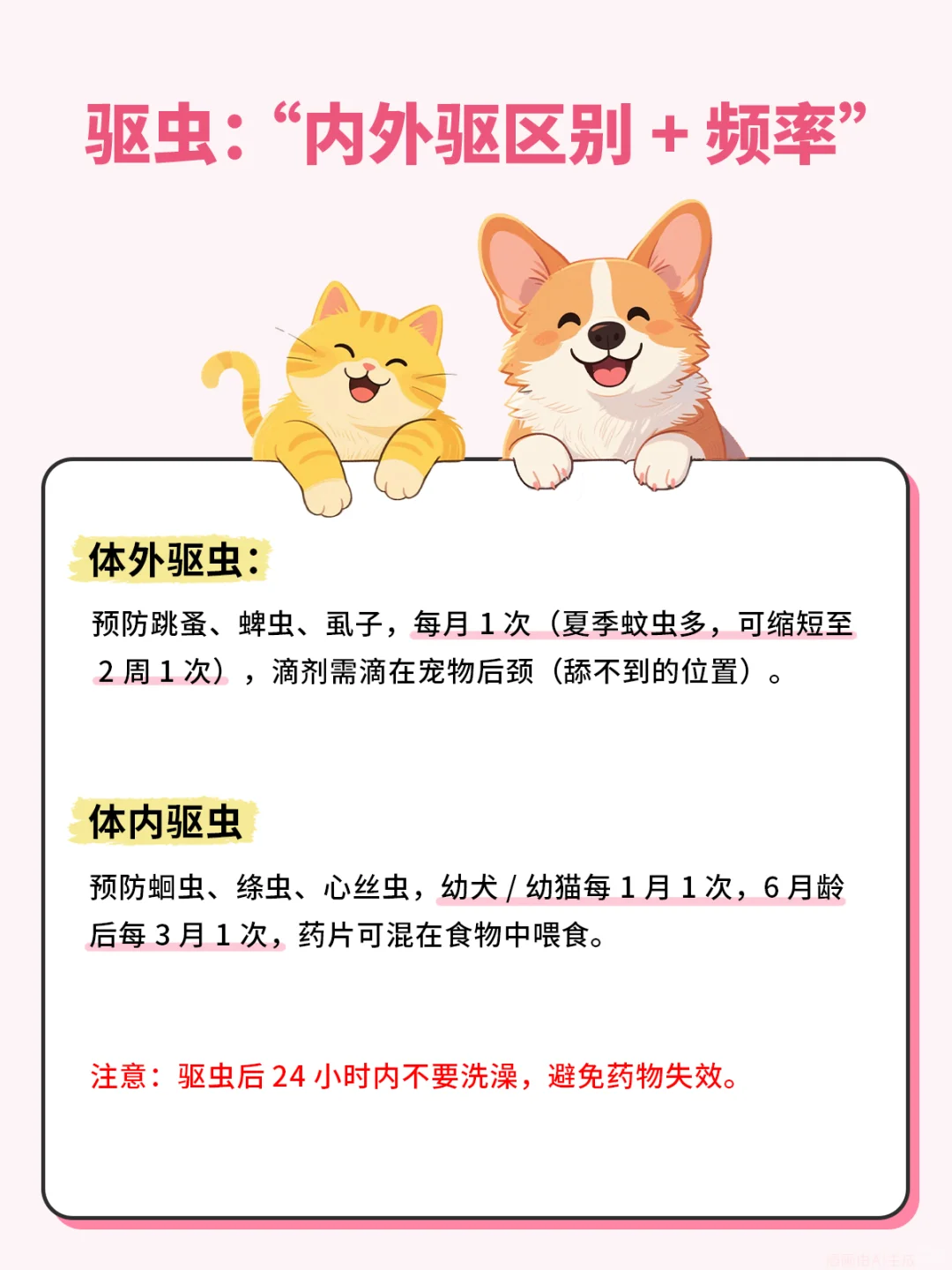 宠物健康管理一定请注意！！！