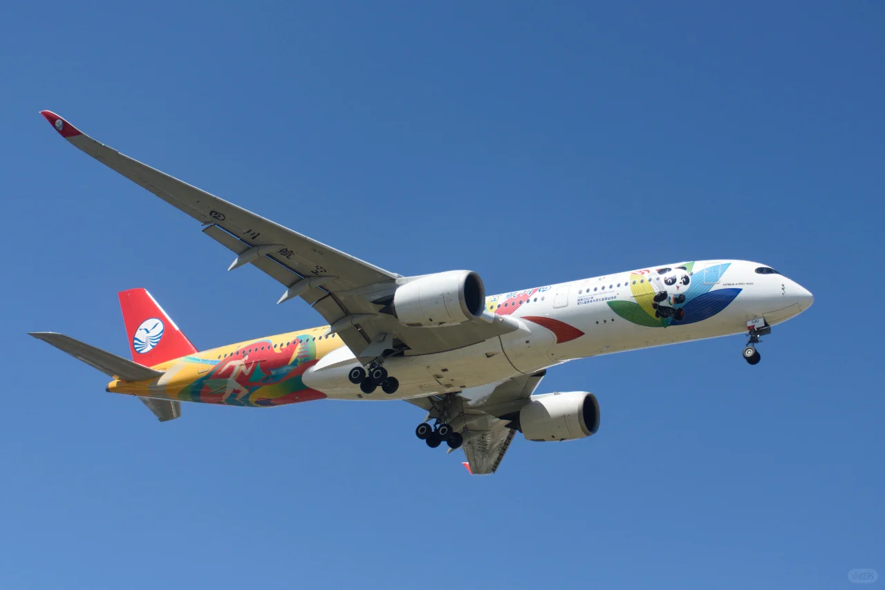 美好的一天从拍机开始