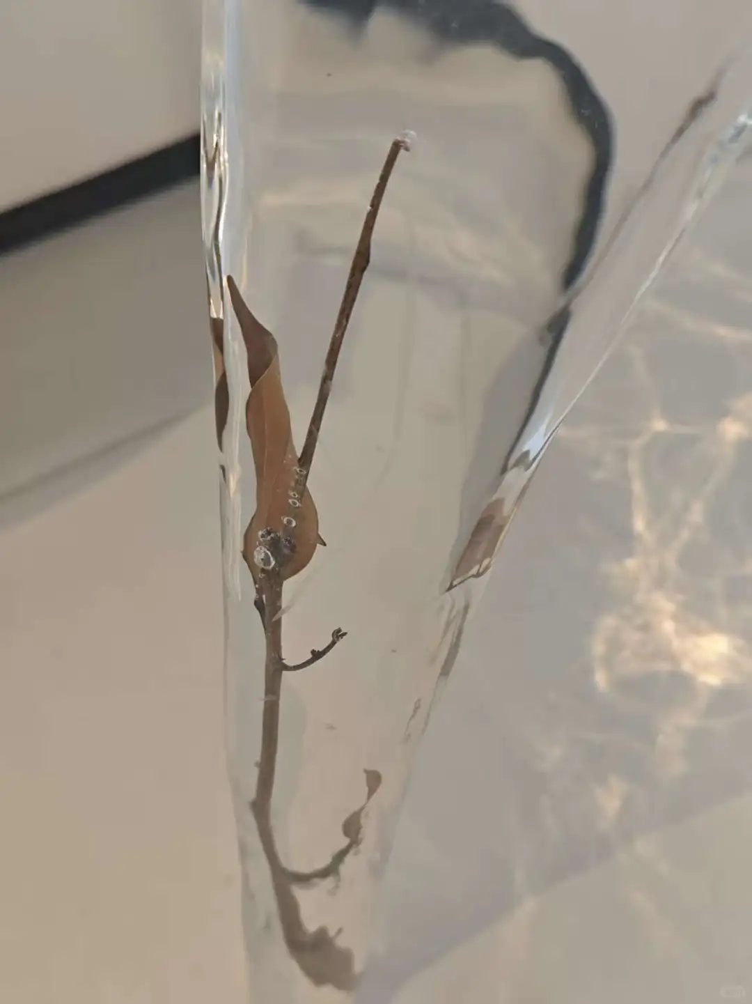 凝固自然的艺术坐具 —— 树脂枯枝花艺凳