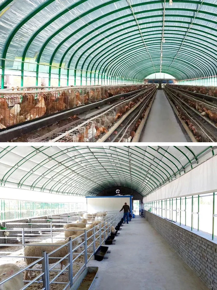 畜牧养殖大棚低成本高回报，开启规模化养殖