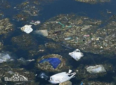 水质监测站与水污染防治