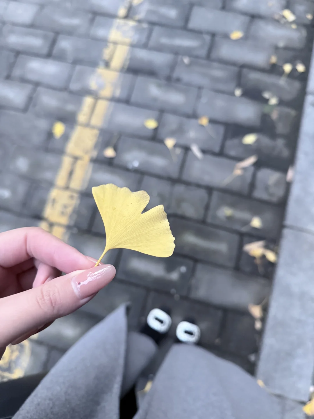 秋日陶艺初体验｜窗外银杏黄，手里泥碗香?