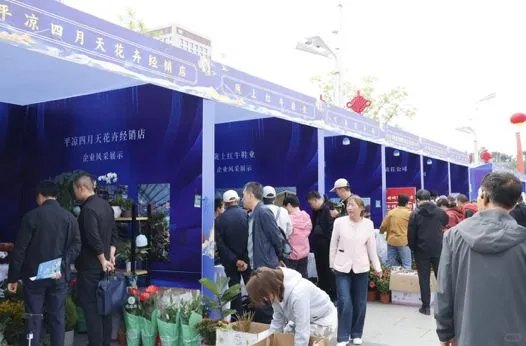 食家巷参与 “电商赋能・创业平凉”