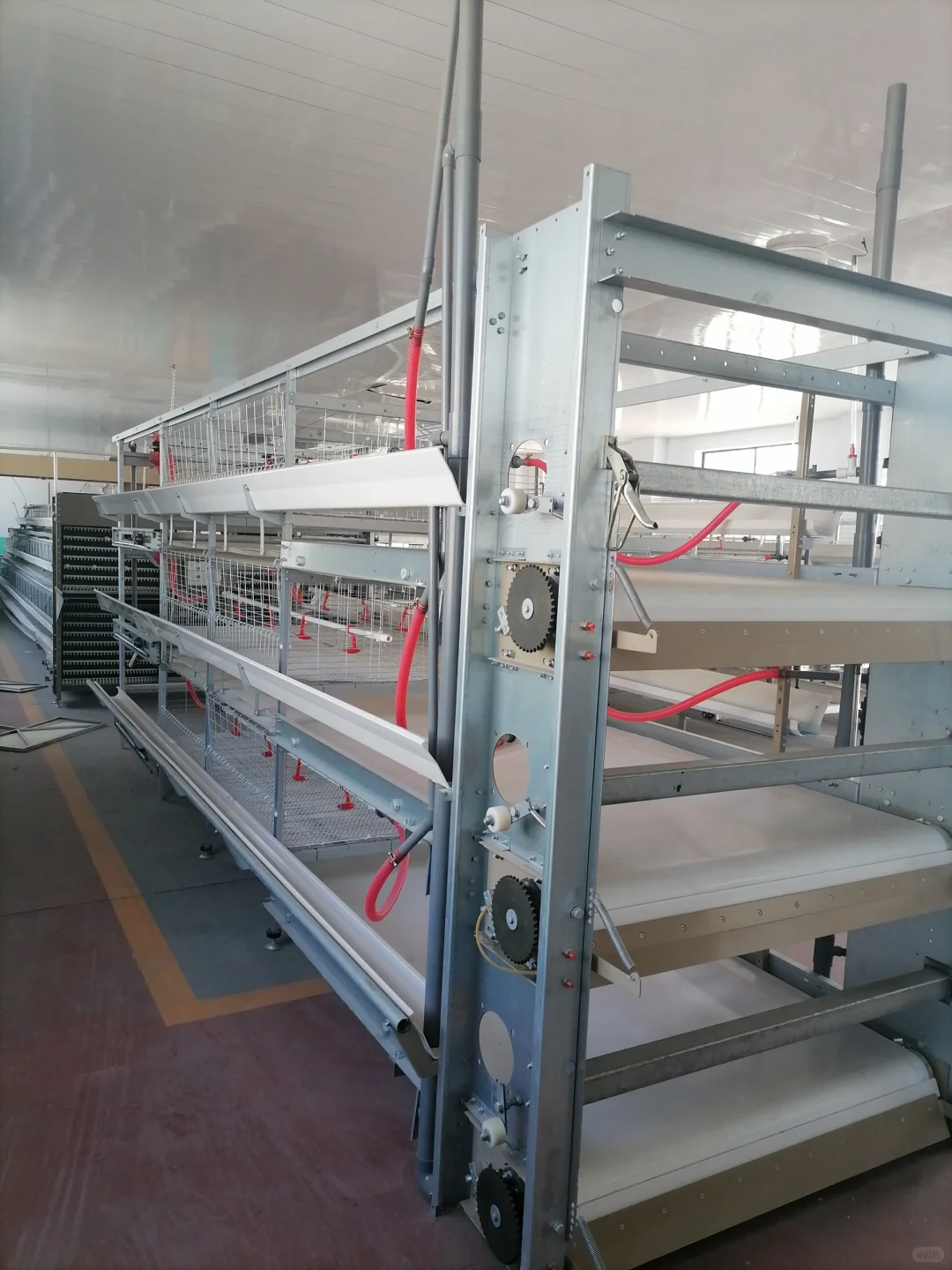 蛋鸡养殖设备的常用介绍