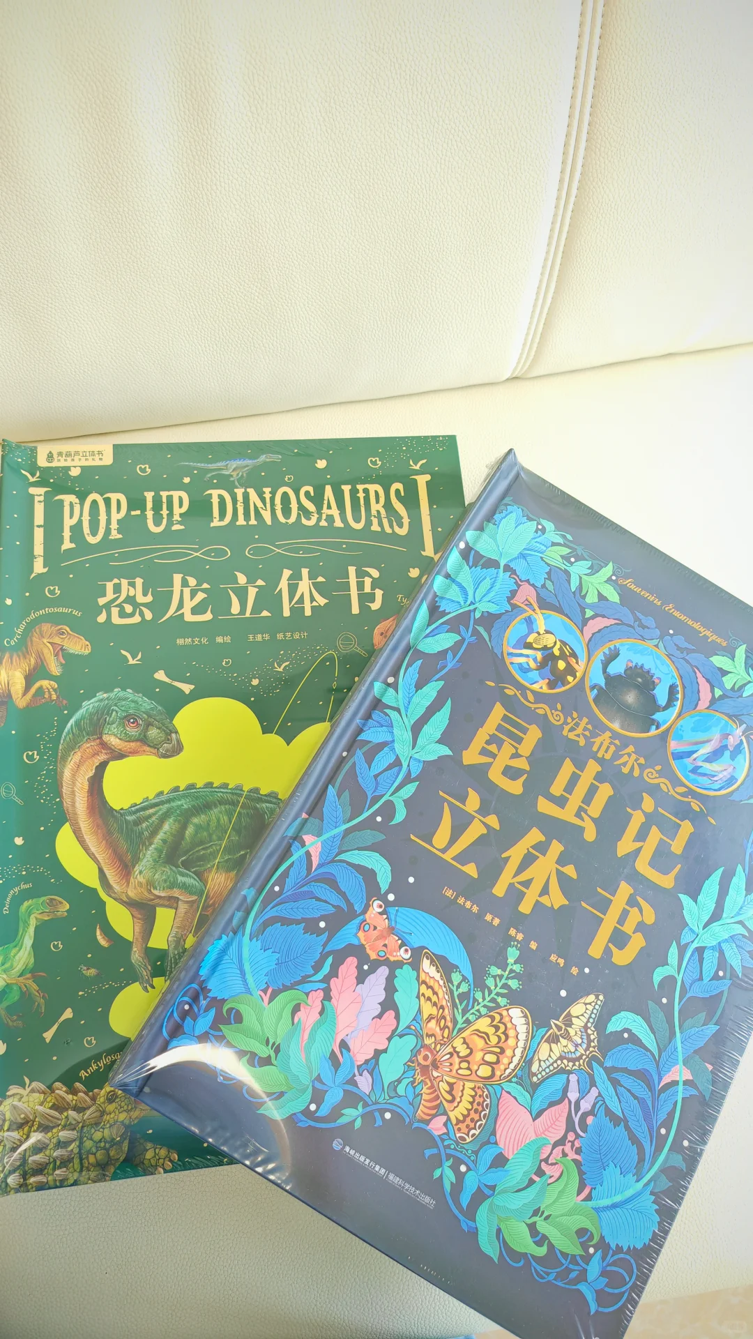 小孩哥姐的电动摩托车到了