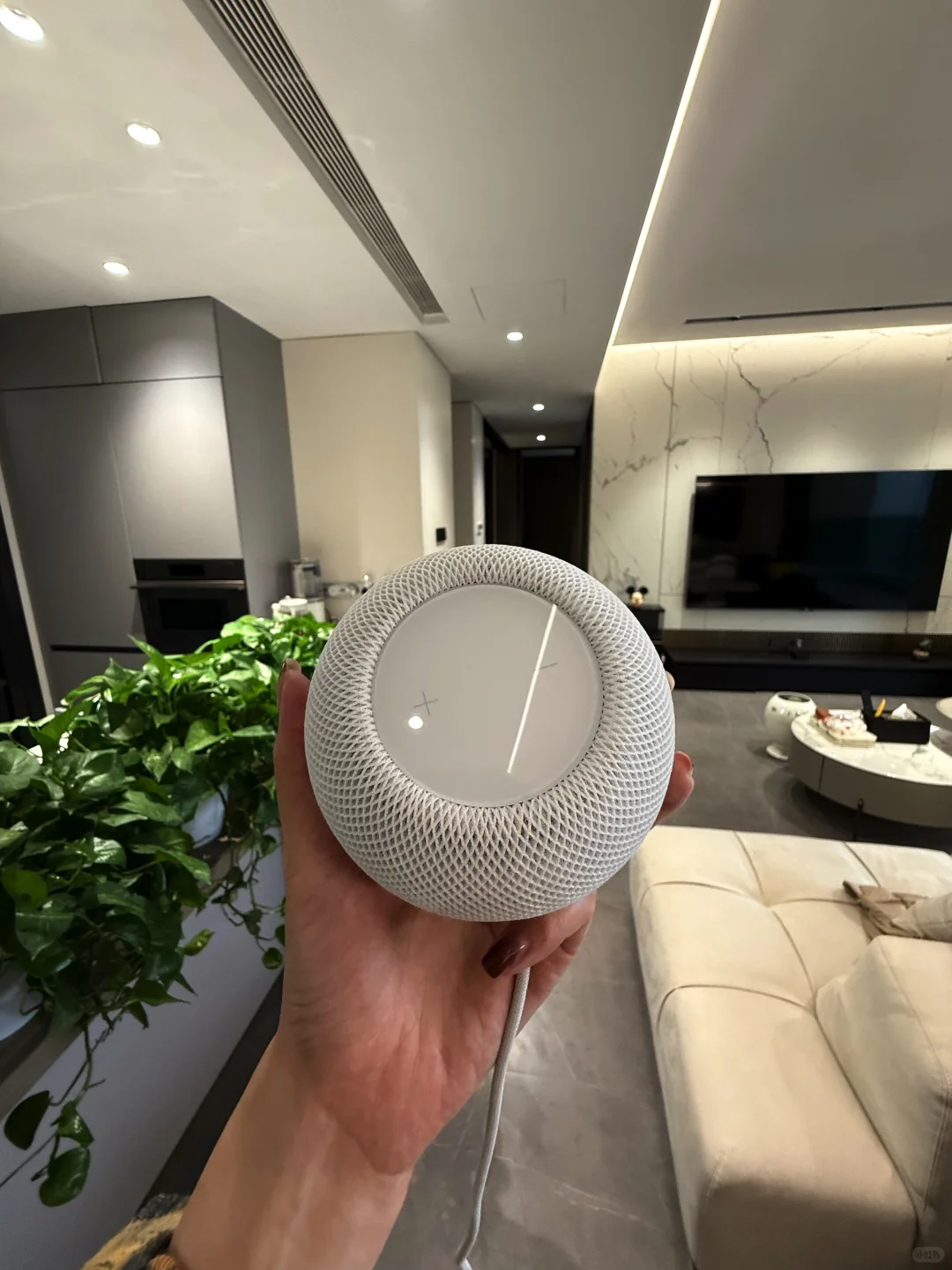 3w的苹果智能大几千搞定，附详细搭建教程