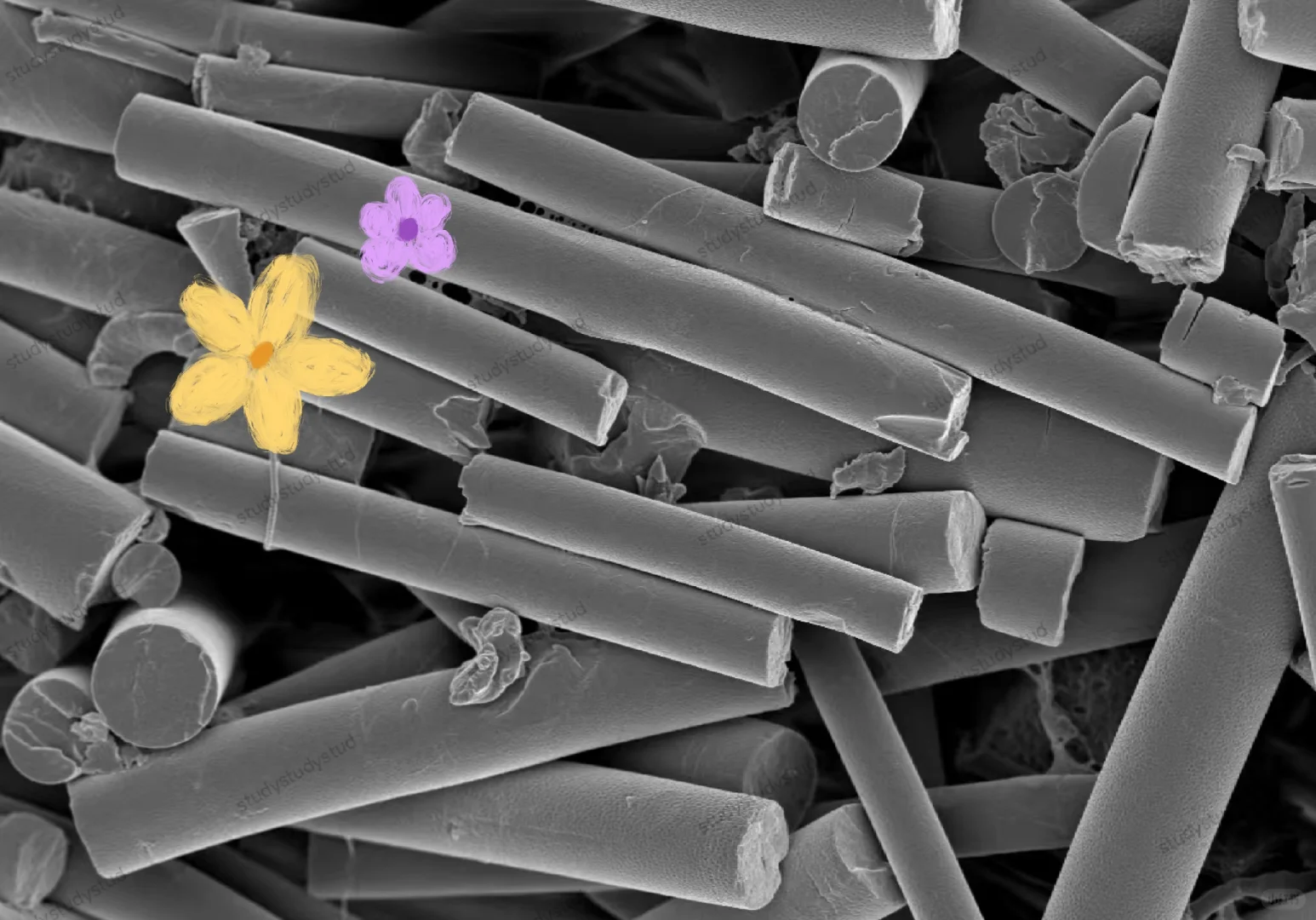 这样的纤维到底有什么应用前景