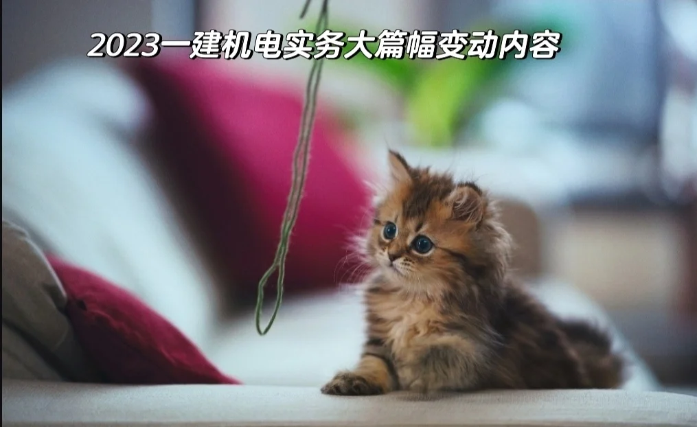 2022教材P64——机械设备安装主要工序内容