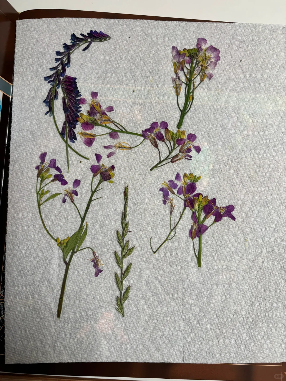 把春天收藏进树脂杯垫