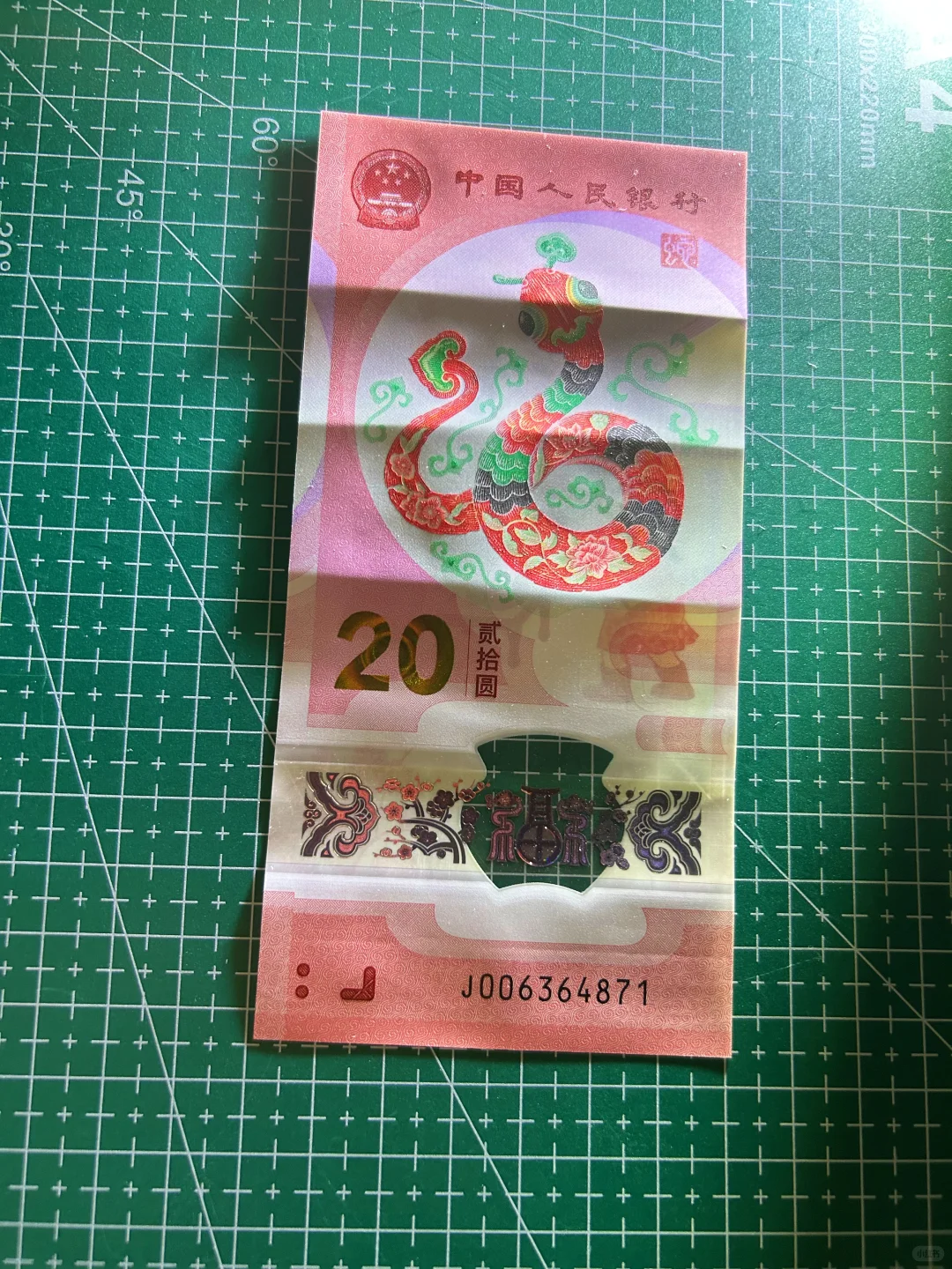 蛇钞修复效果图