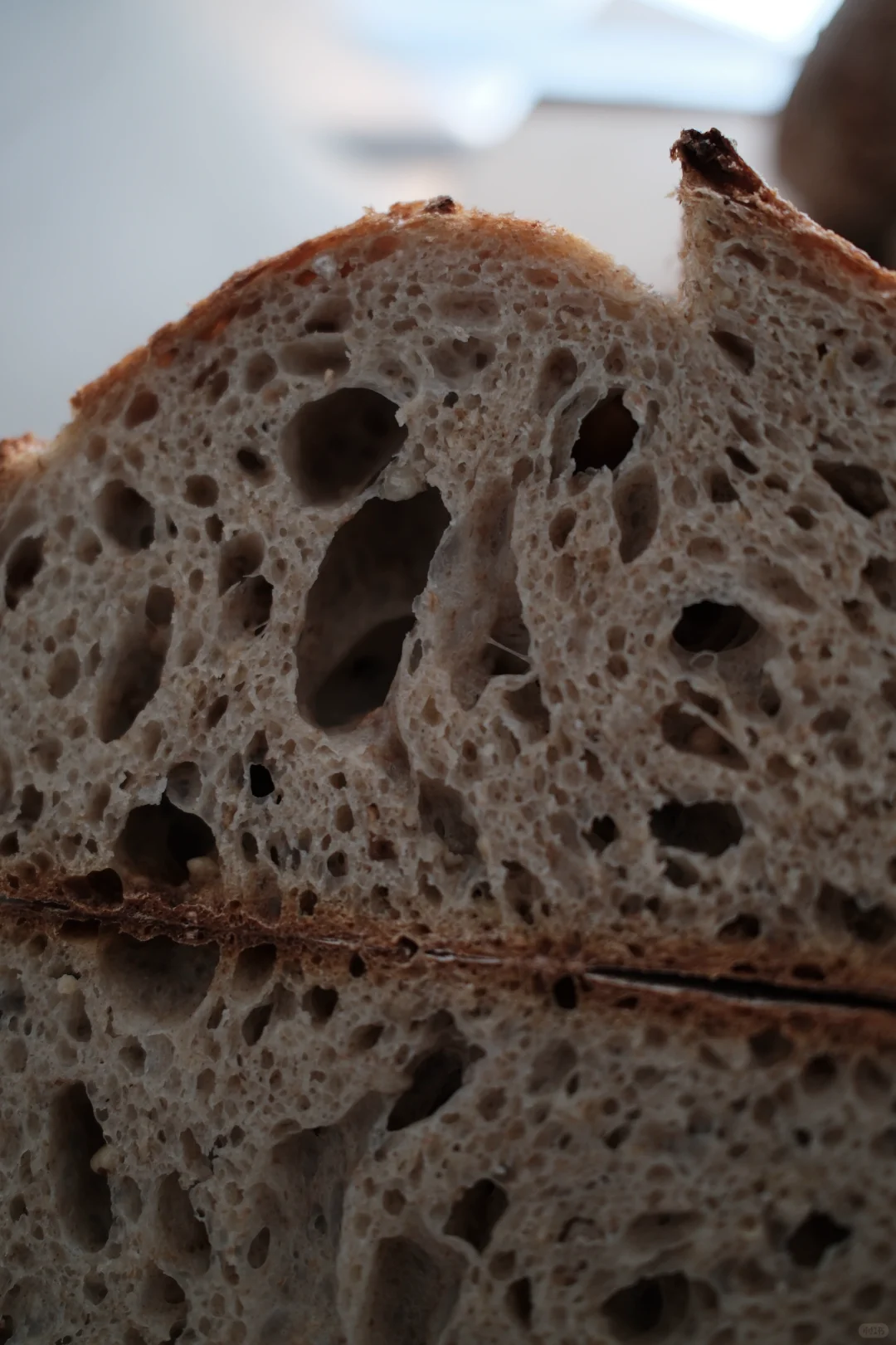 夏日减脂优质主食：荞麦粒燕麦谷物乡村