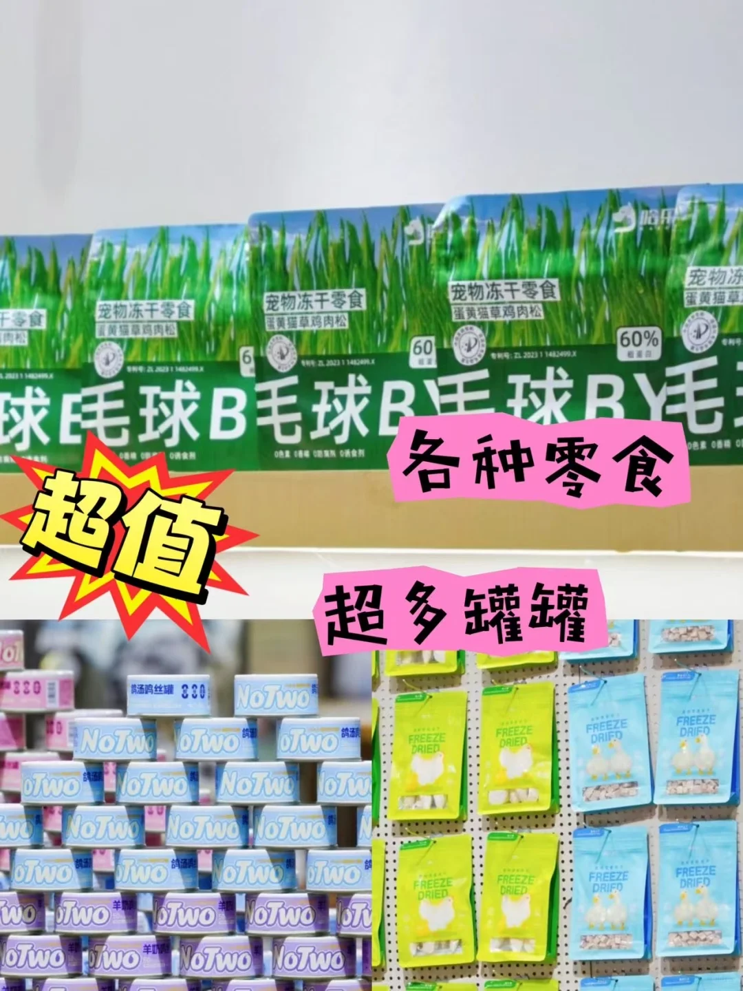 杭州铲屎官们速来！华东宠物展