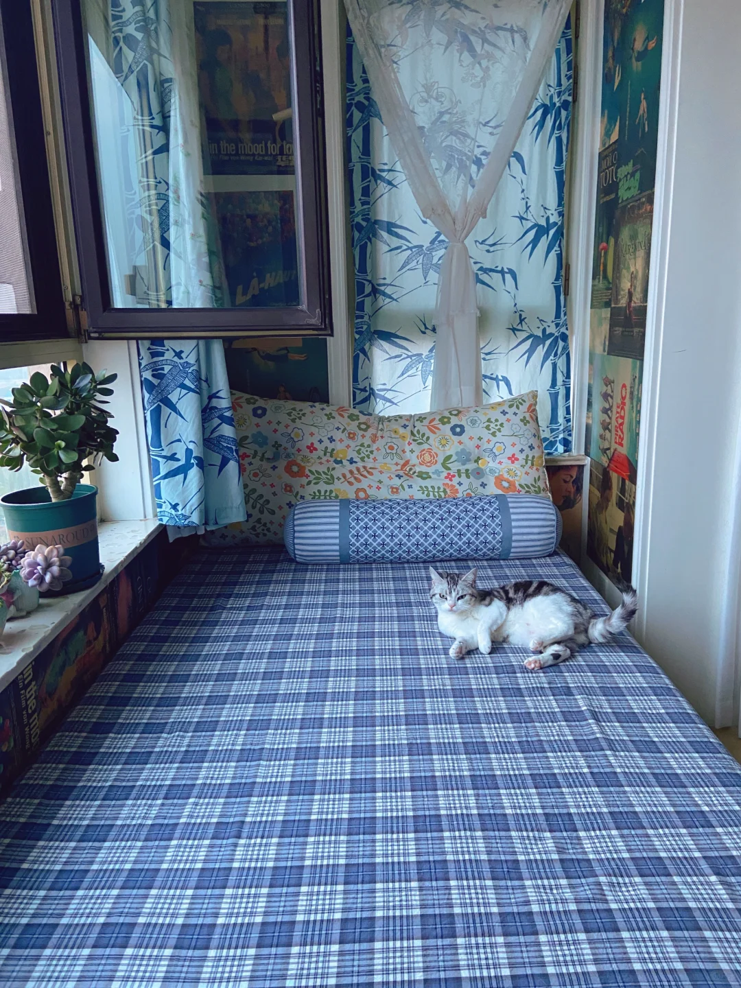 我住在干净清爽的房间里过干净清爽的生活