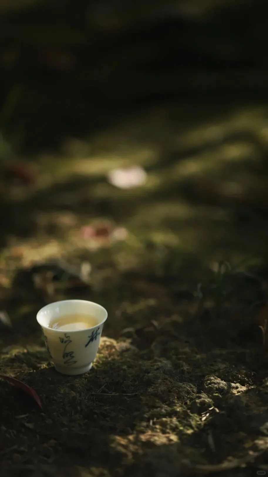 非遗“中国茶”