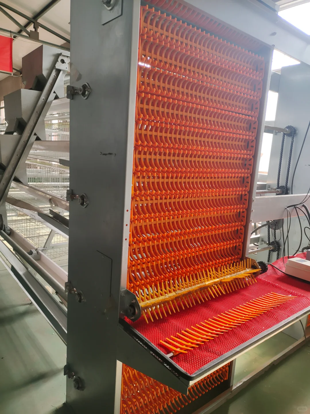 蛋鸡养殖设备的常用介绍