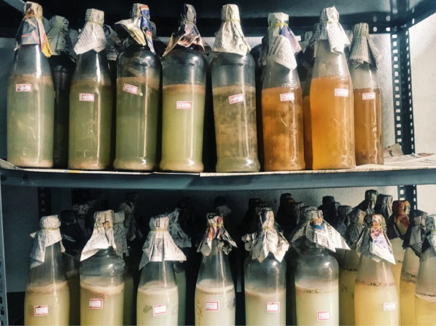 ?生物细菌皮革-椰子、香蕉、大麻、剑麻