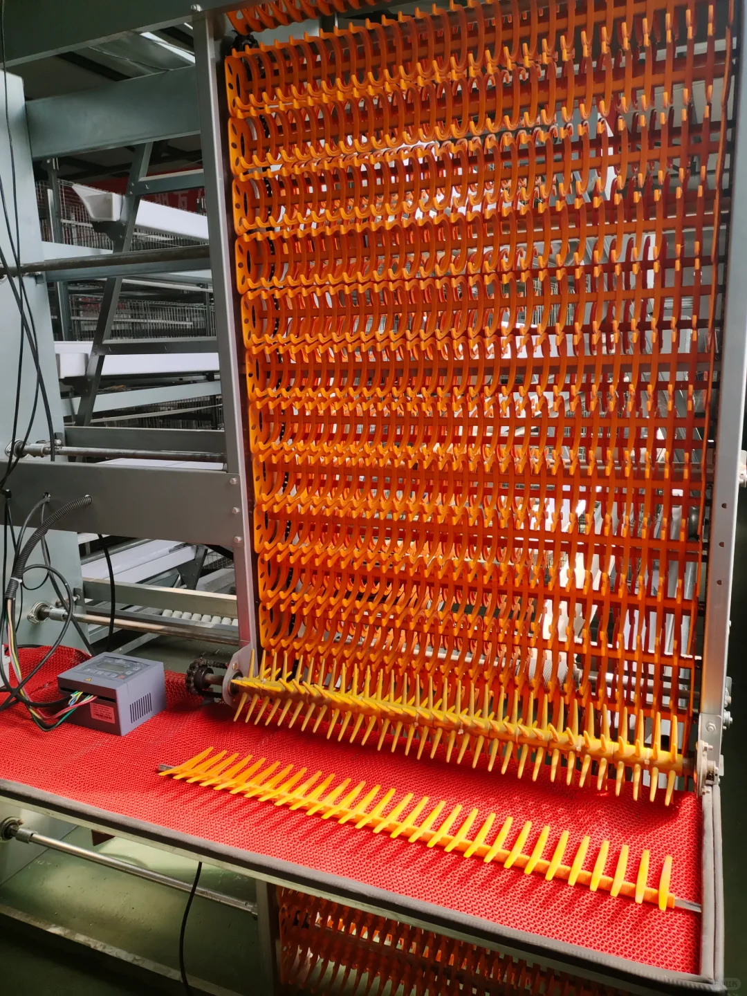 蛋鸡养殖设备的常用介绍