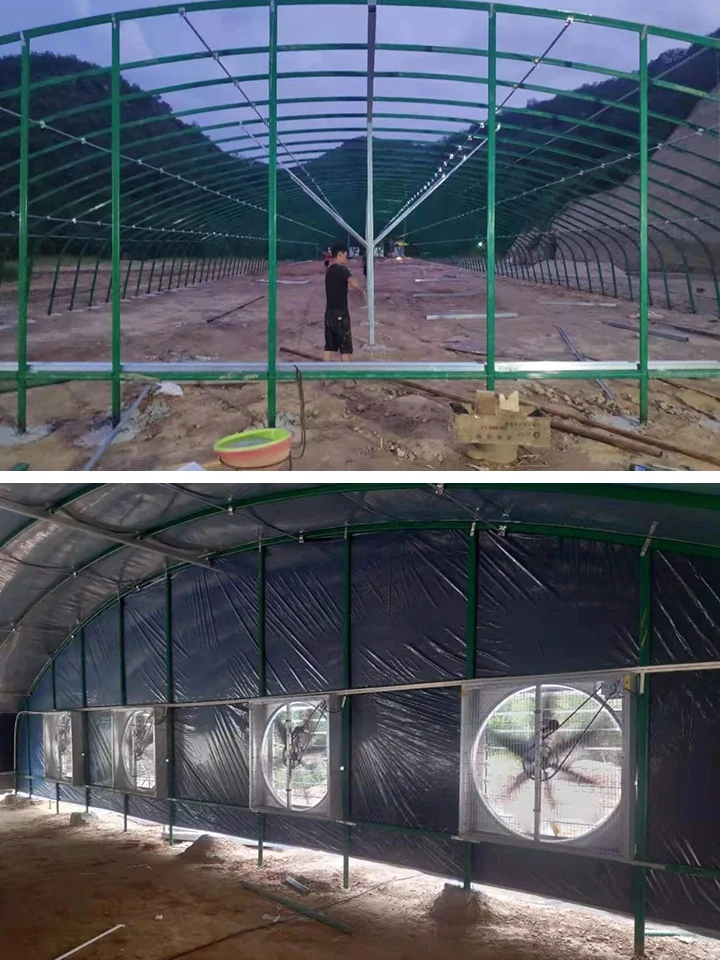 畜牧养殖大棚低成本高回报，开启规模化养殖