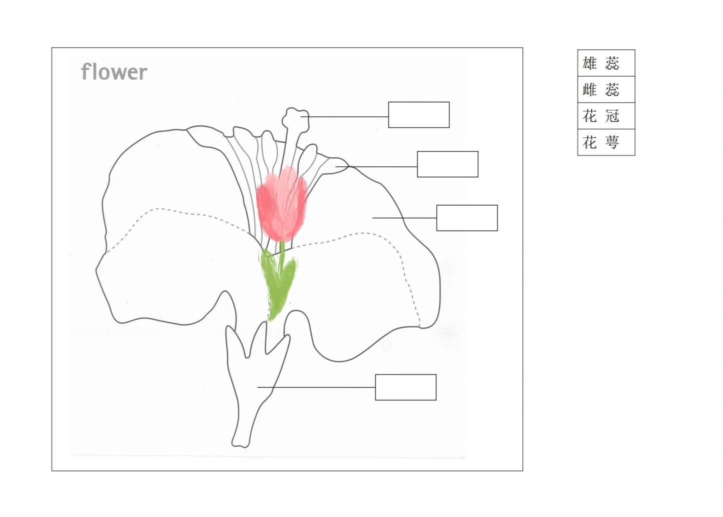 蒙氏｜科学文化领域纸上作业