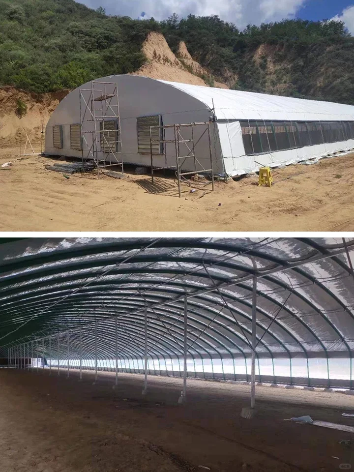 畜牧养殖大棚低成本高回报，开启规模化养殖