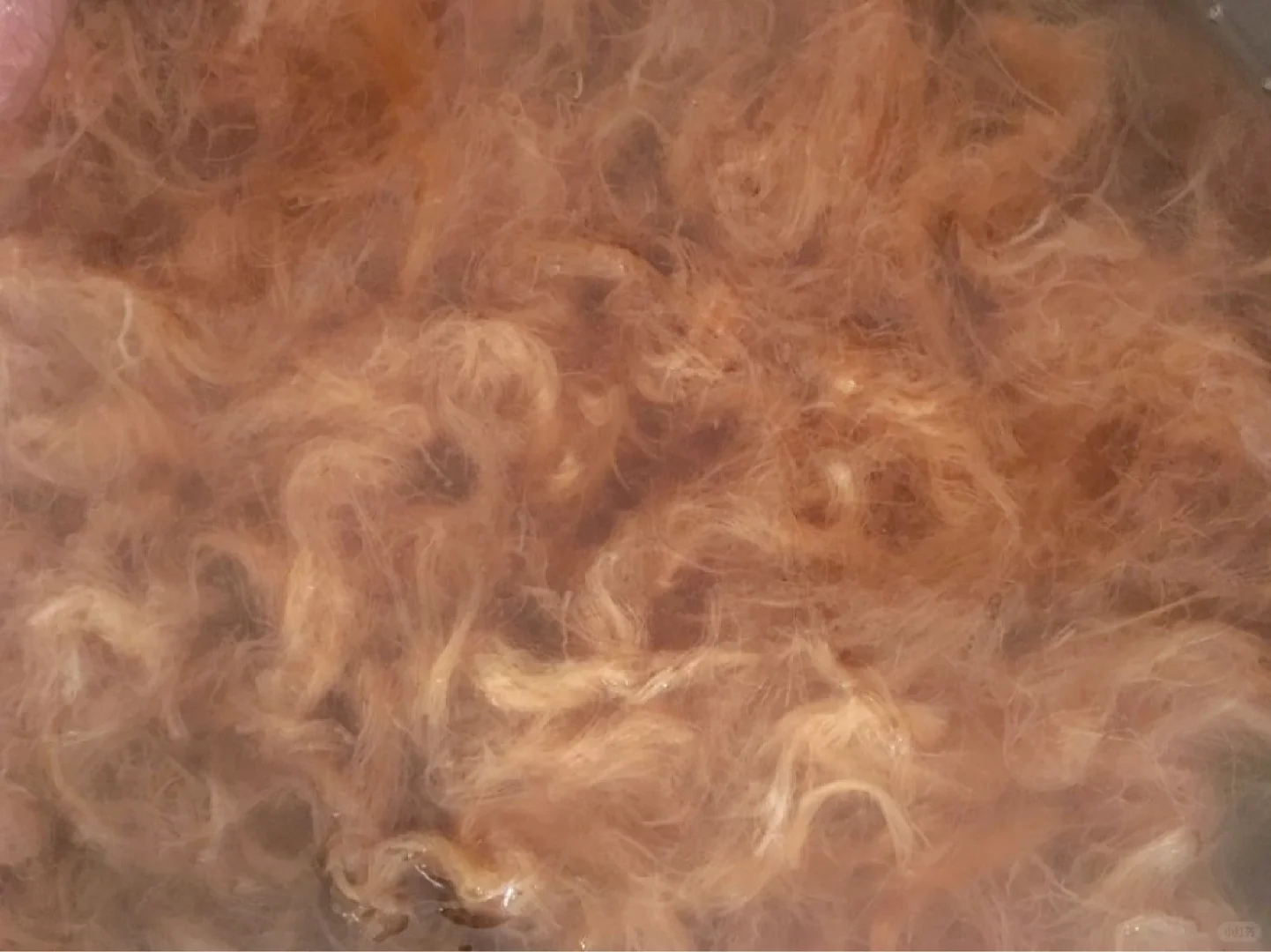 ?生物细菌皮革-椰子、香蕉、大麻、剑麻