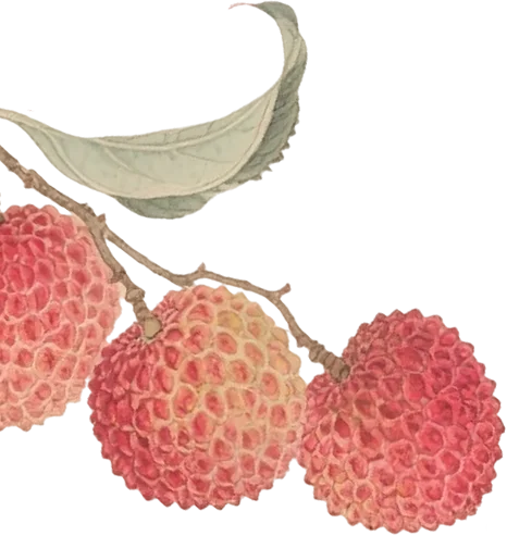 PS练习-小暑海报 丨 附带详细步骤 附素材