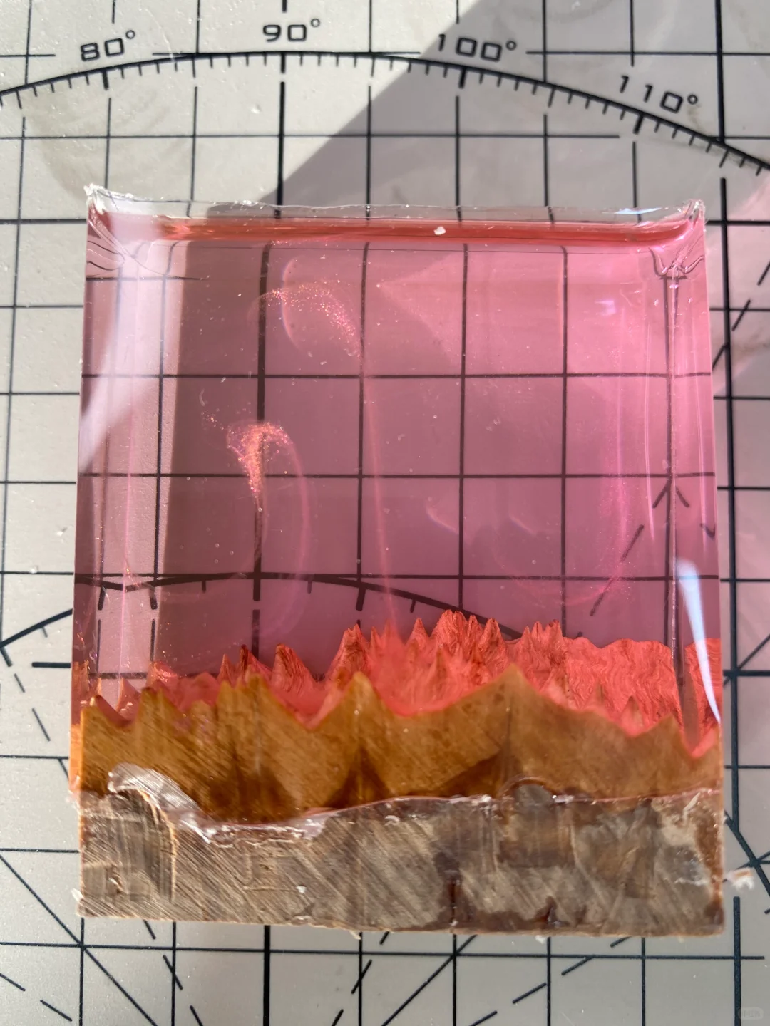 这只小猫咪适合封存什么呢?