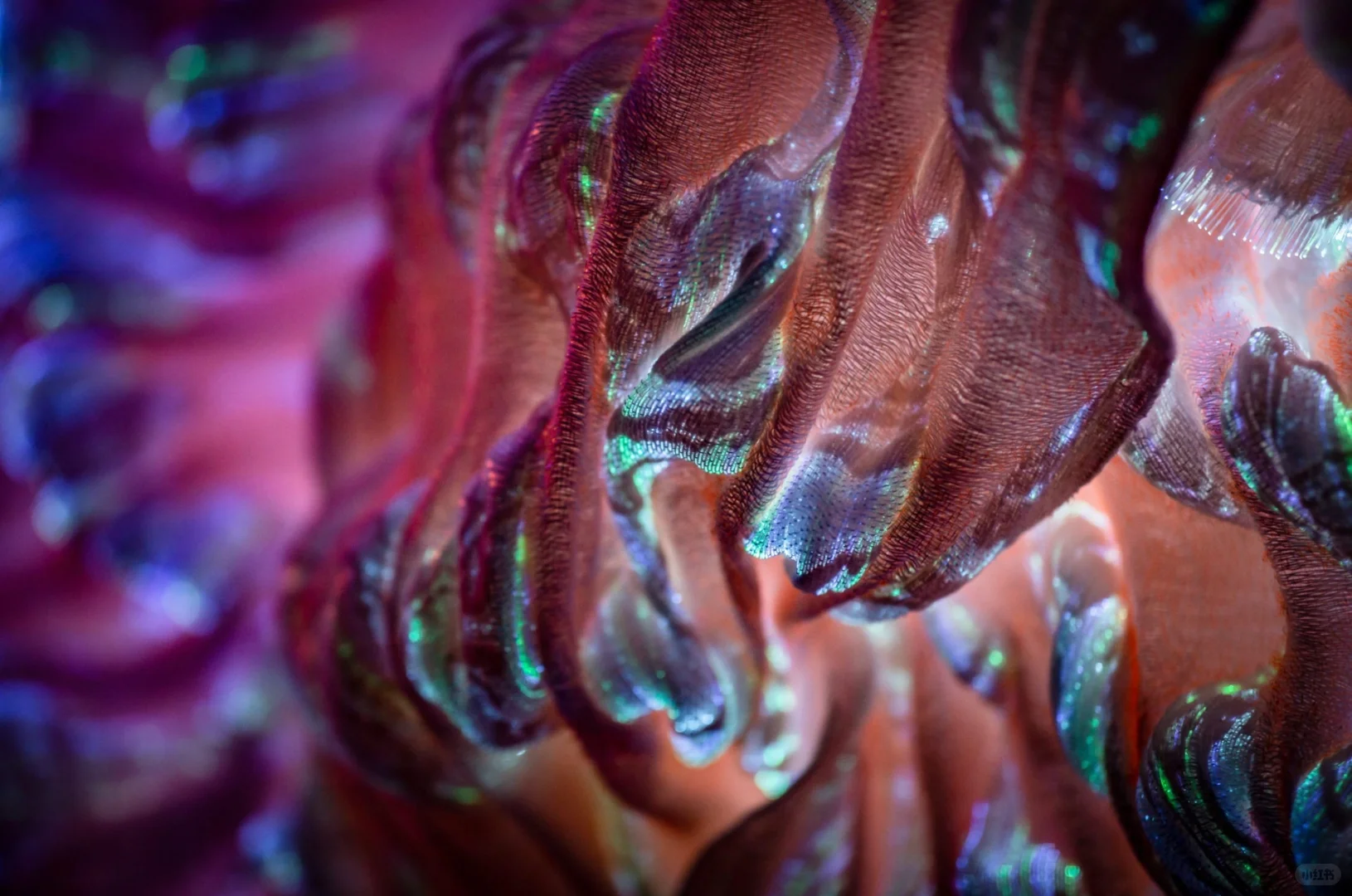 ✨:当传统编织遇上未来科技(光纤➕提花=?