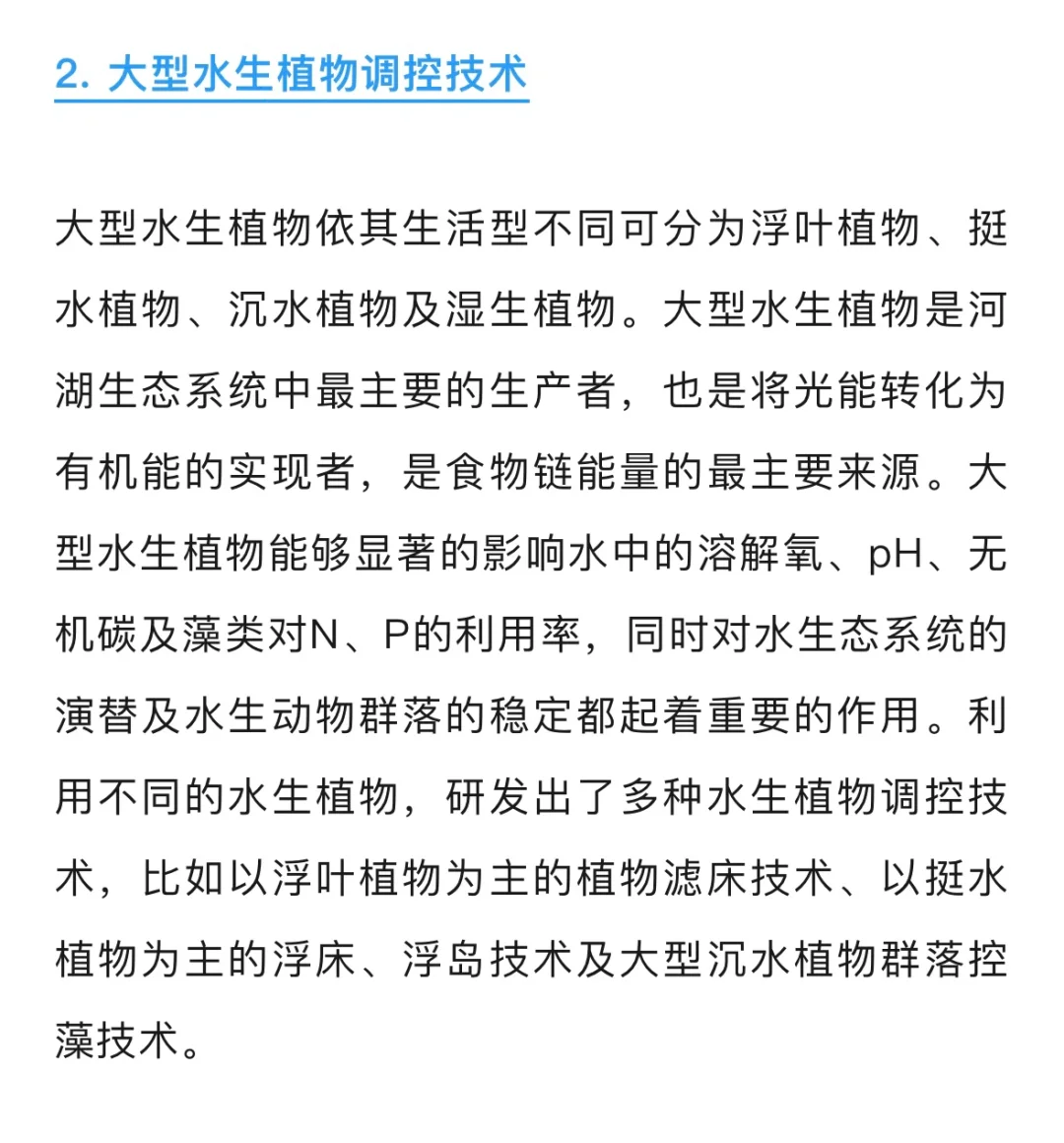 城市河湖治理中生态修复有哪些技术？