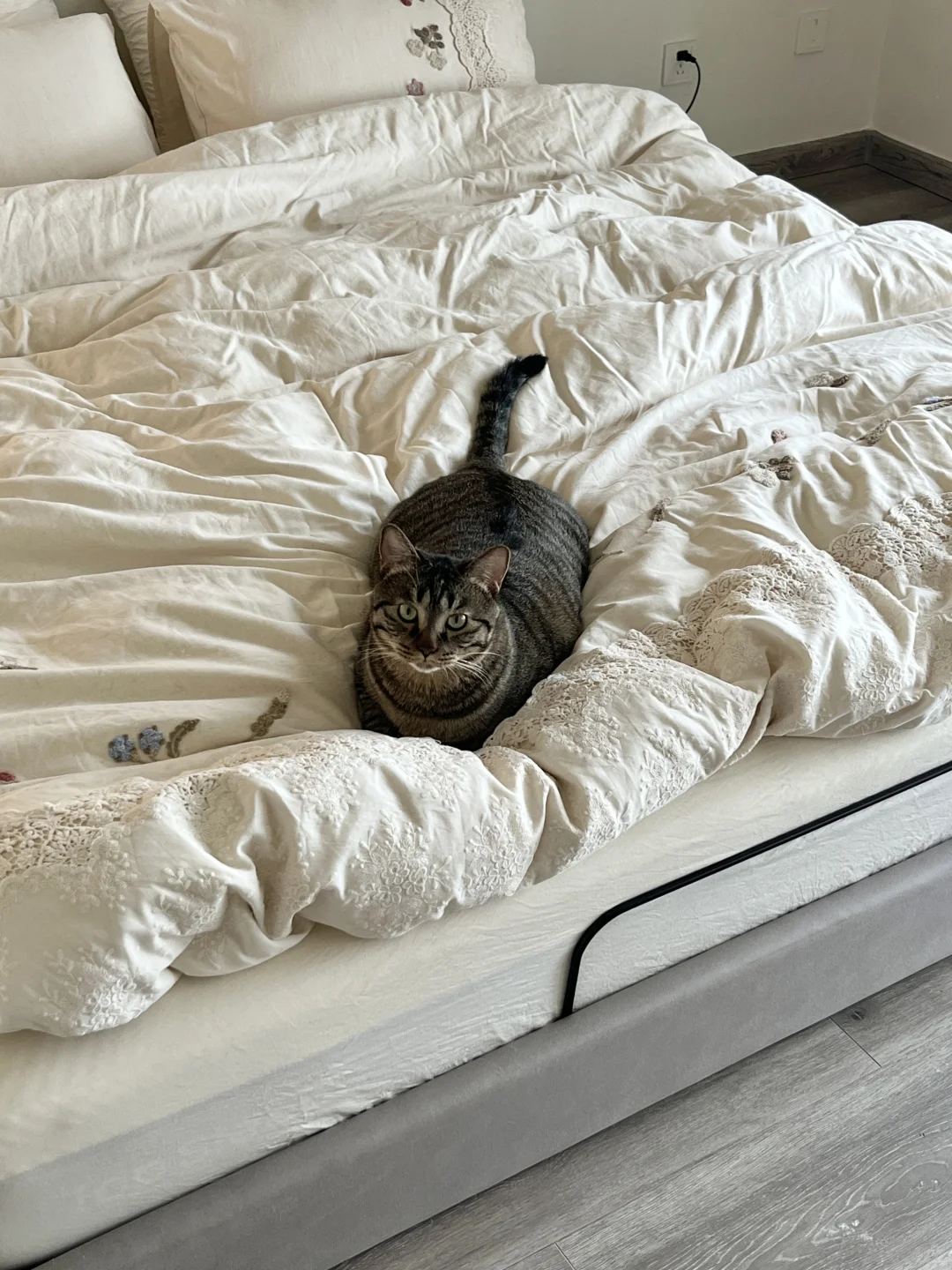 把极简风卧室调频至“疗愈模式”