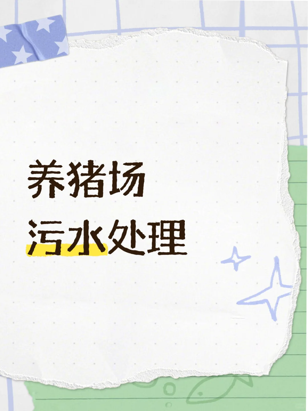 ?猪场污水处理全攻略