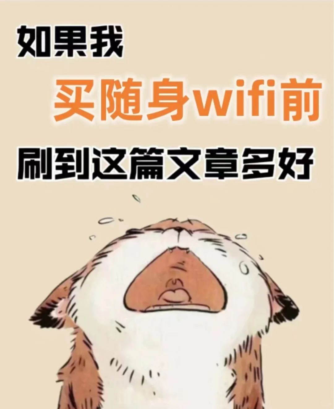 随身wifi的种类与选择