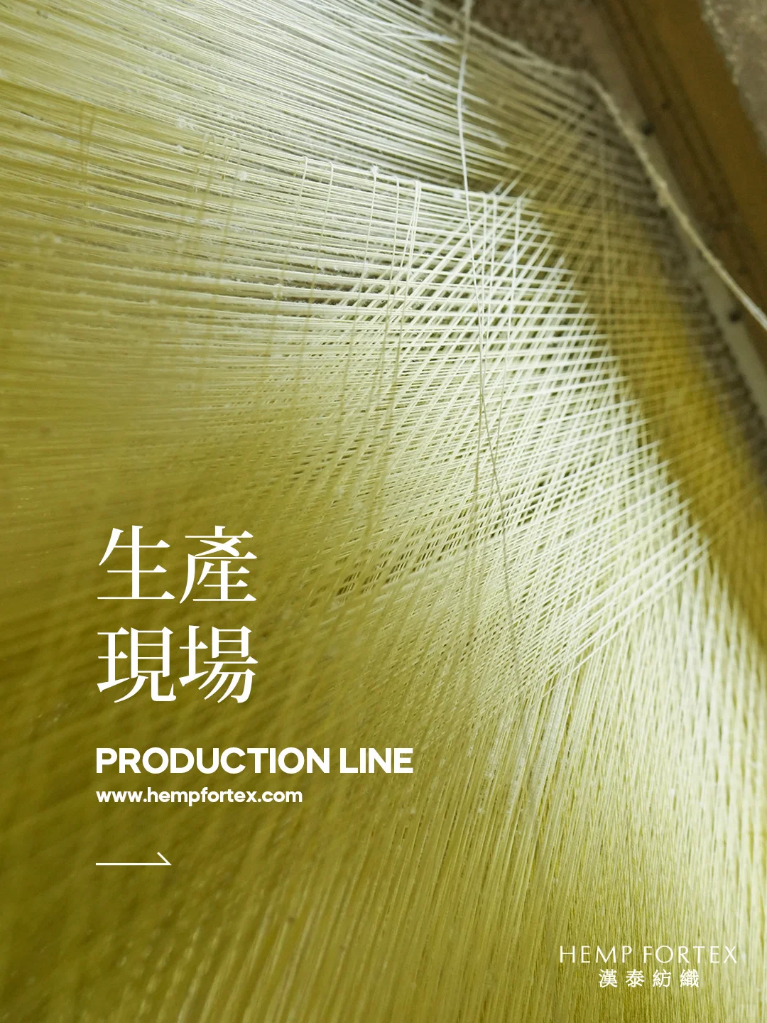 生产现场｜走进大提花织布机的生产现场