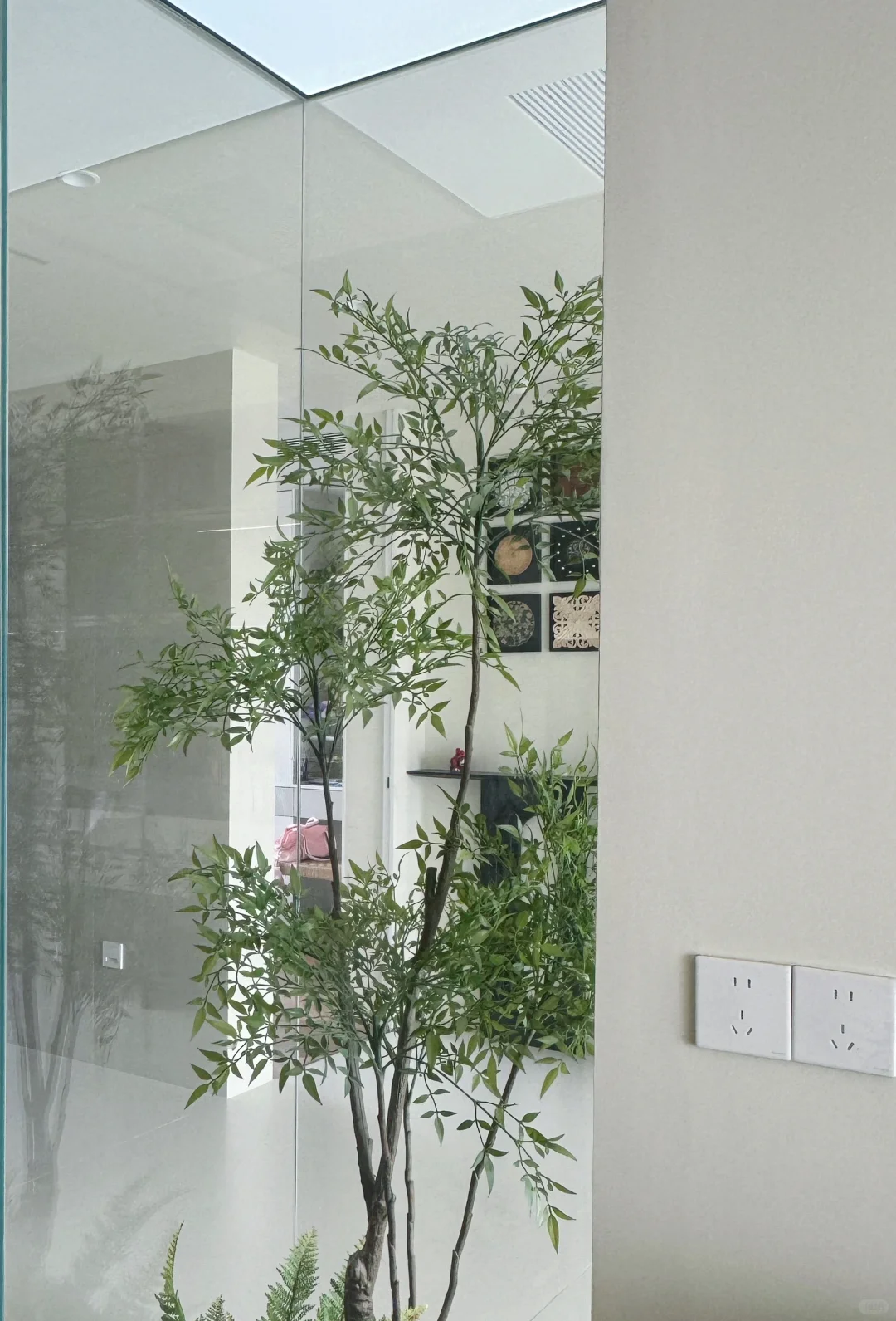 装修分享｜植物造景｜玻璃房内的绿植世界