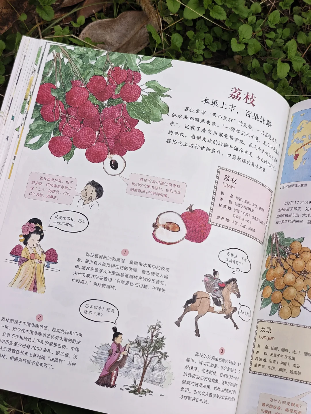 儿童农业科普绘本|纯手绘农作物科普