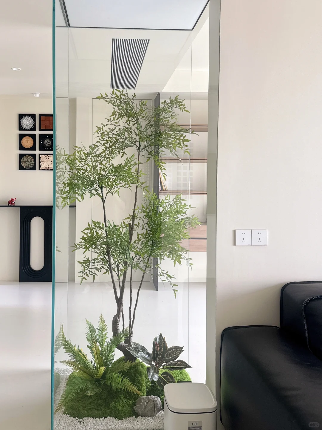 装修分享｜植物造景｜玻璃房内的绿植世界