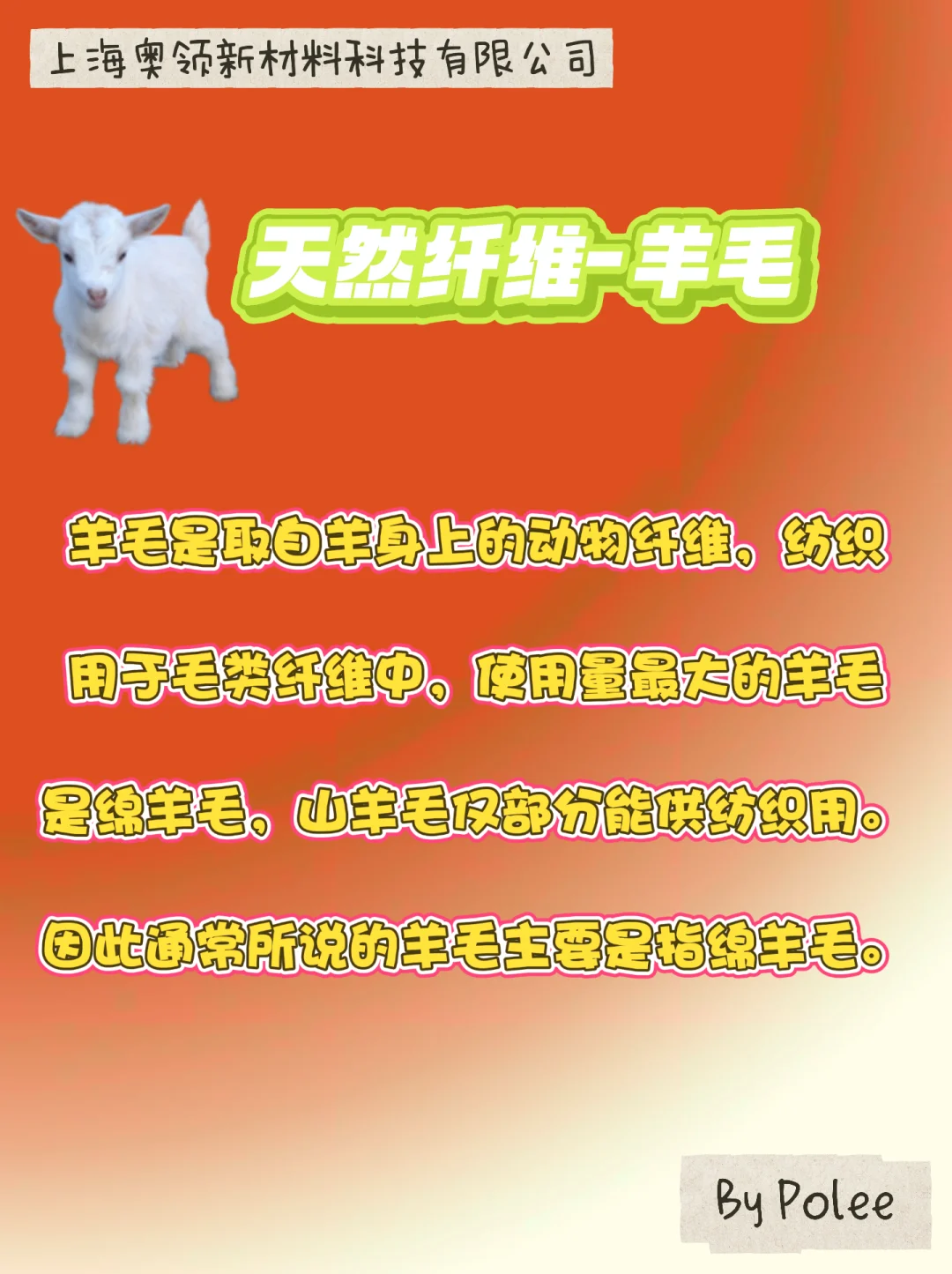 纤维的分类1️⃣