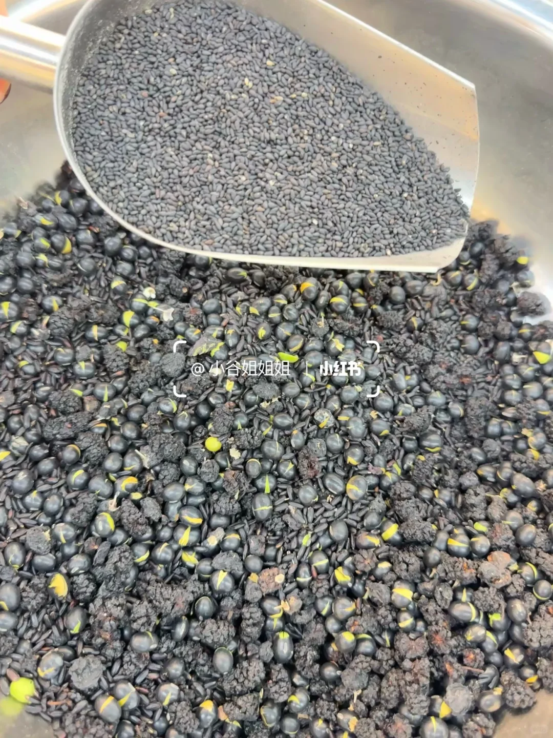 我在乌鲁木齐的磨粉日常嘿嘿?