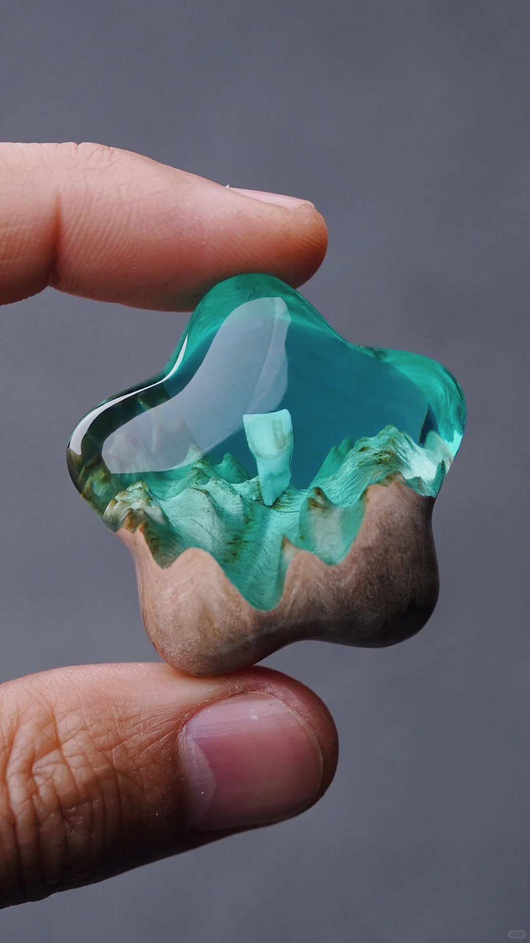 我被抄袭过最多的作品