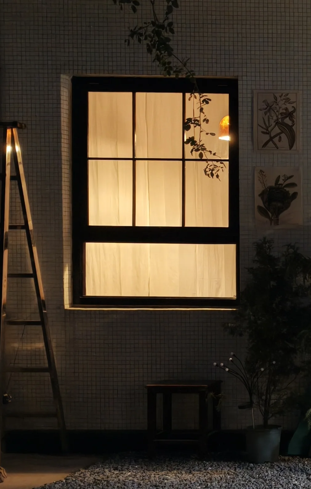 好喜欢这个夜晚的小窗