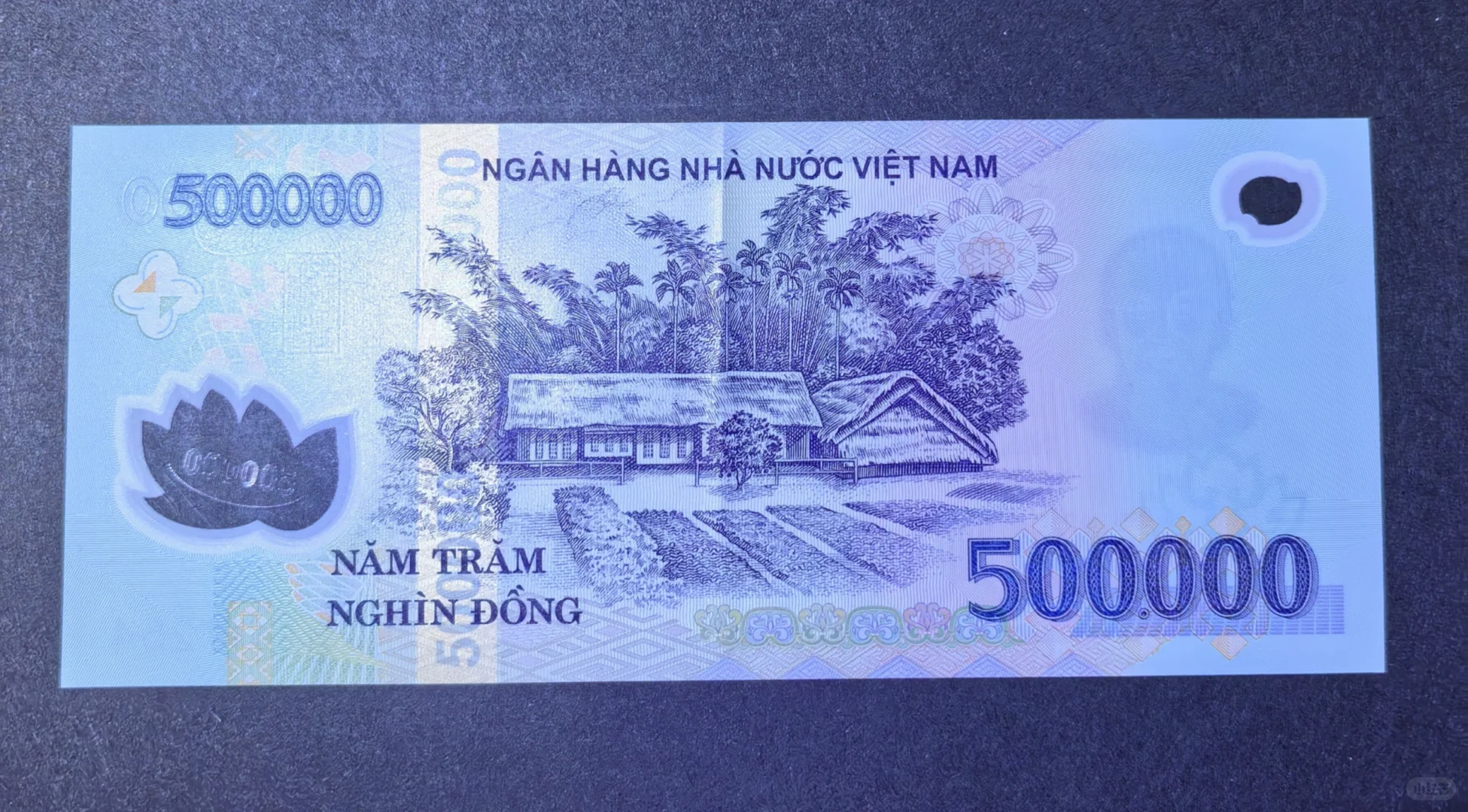 每日一钞:越南500000盾塑料钞