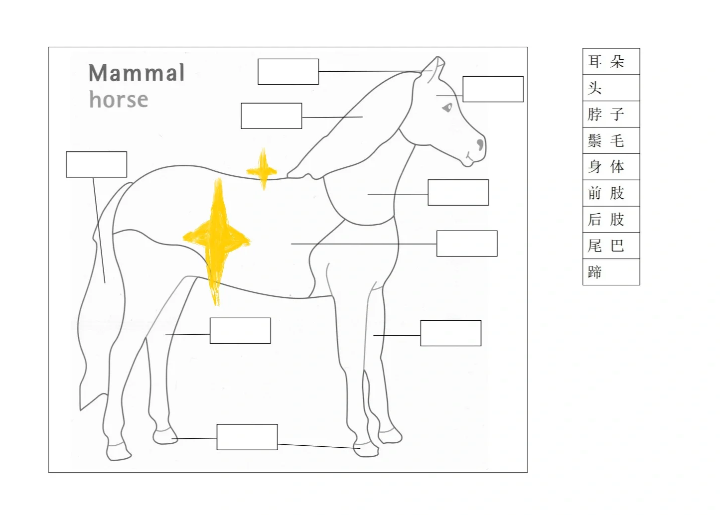蒙氏｜科学文化领域纸上作业