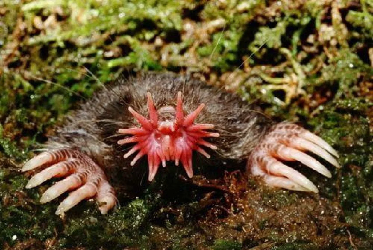 怎么能这么恶心?